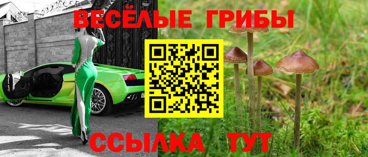 Псилоцибиновые грибы GOLDEN TEACHER Кингисепп